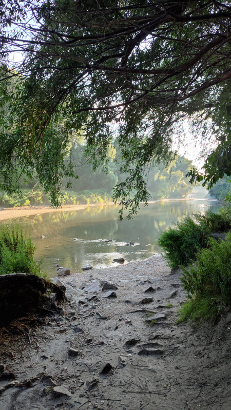 Pohľad na pokojnú vodu riečneho ramena spopod stromov dunajského brehu.